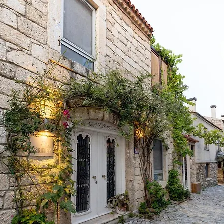 Gasthuis Sakin Ev 3*