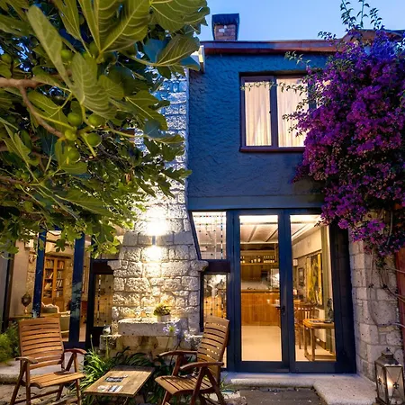 Pensiune Sakin Ev 3*